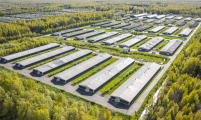 Aerial view poultry farm