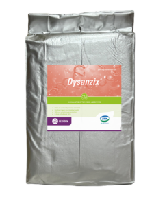 Dysanzix