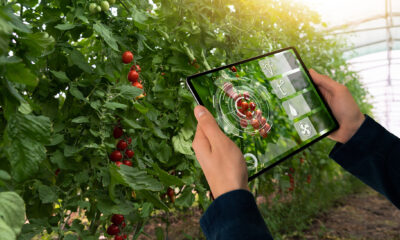 Greenhouse automation
