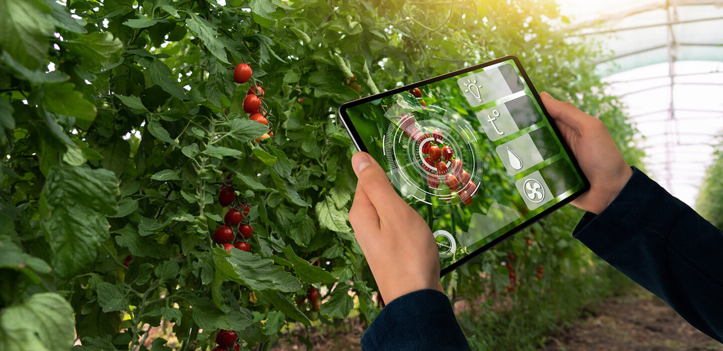 automation in horticulture