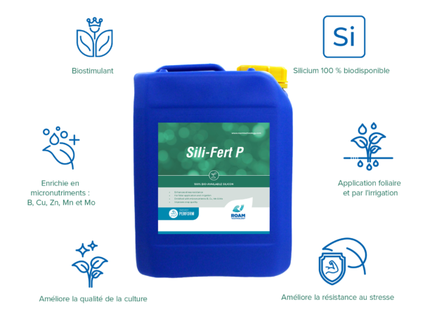 Sili-Fert P USP FR