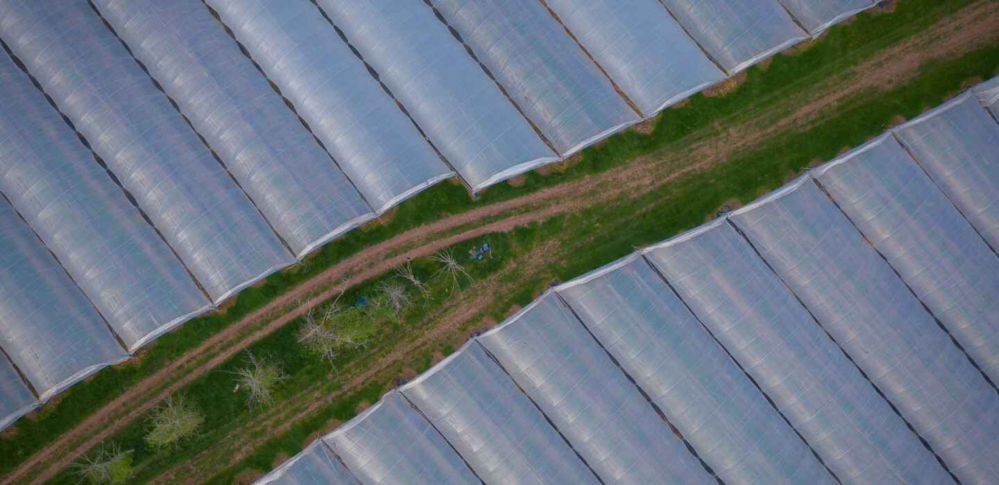 Aerial View Of Poly Tunnel