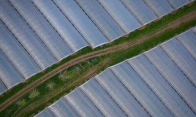 Aerial View Of Poly Tunnel