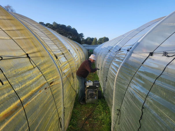 Plastic Tunnel